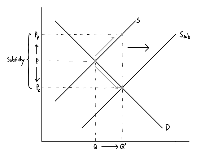 A shift in supply due to a new subsidy